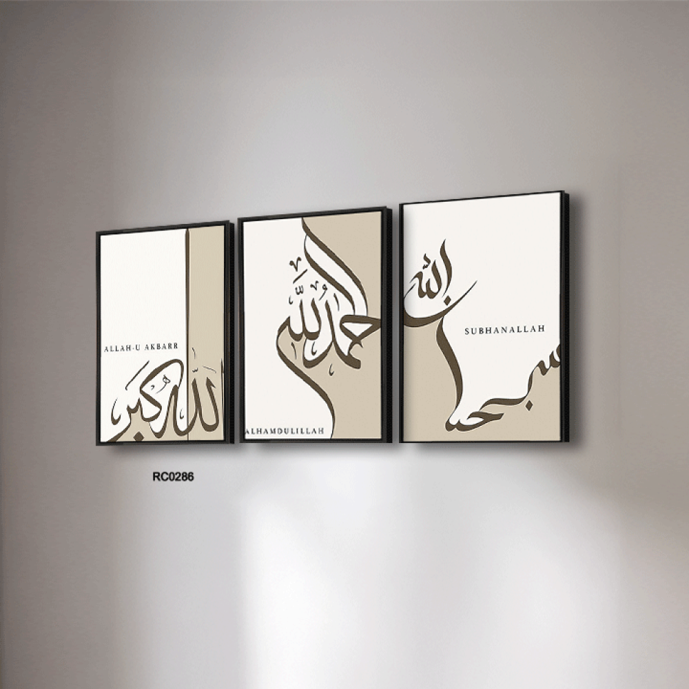 مجموعه من 3 لوحات جدارية مودرن