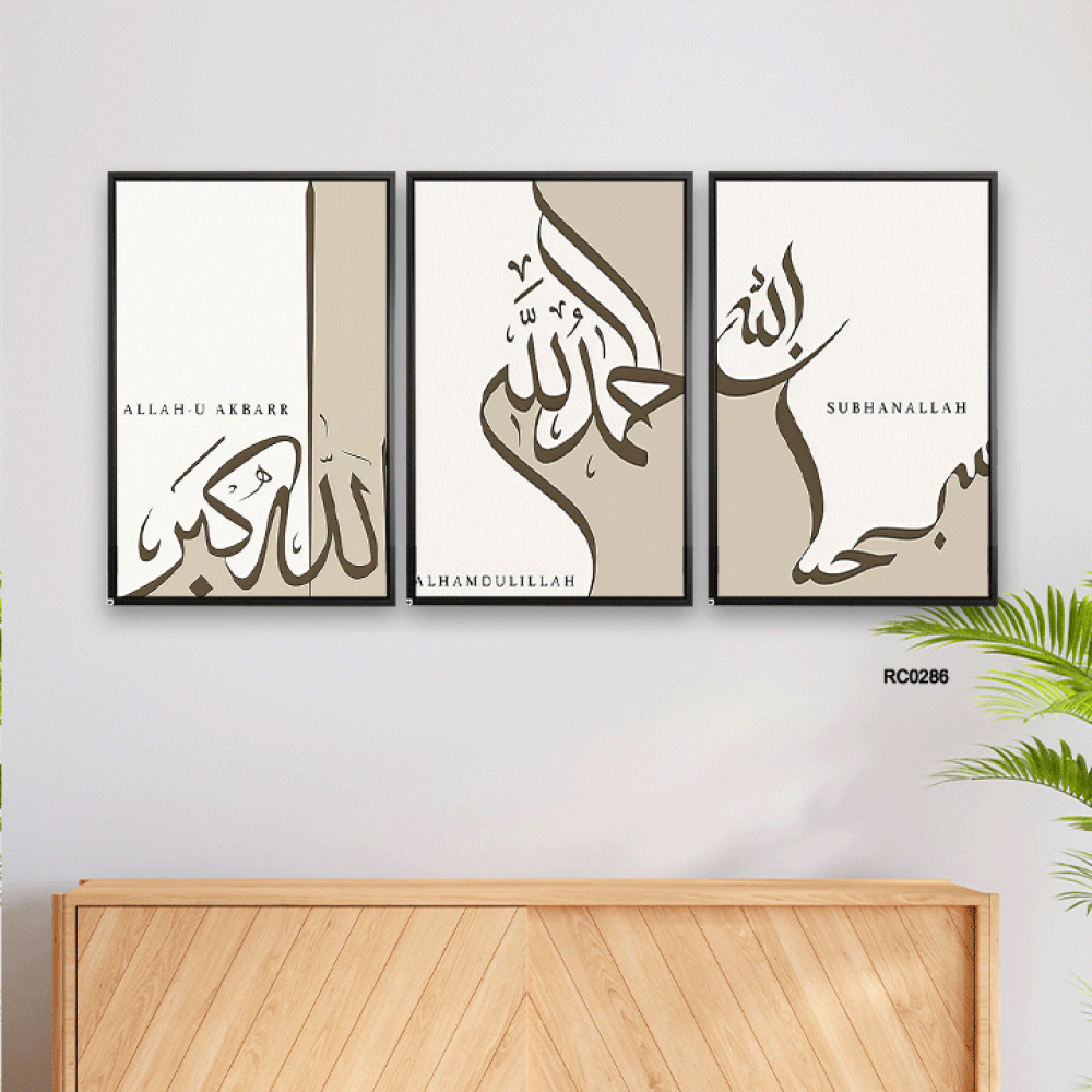 مجموعه من 3 لوحات جدارية مودرن