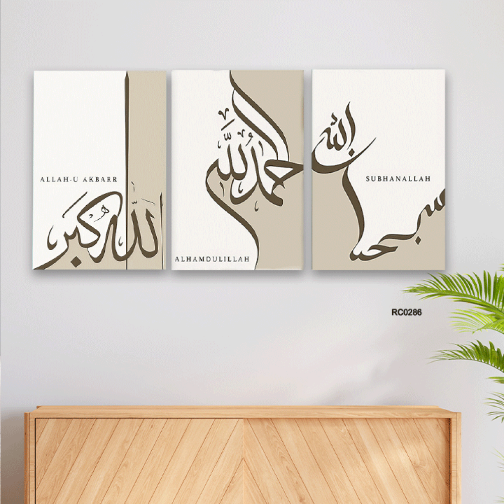 مجموعه من 3 لوحات جدارية مودرن